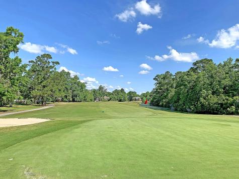 410 Carolina Cherry Court Charleston SC 29414