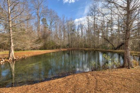 1146 Oak Grove Church Road Manning SC 29102