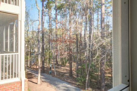 1413 Basildon Road Mount Pleasant SC 29466