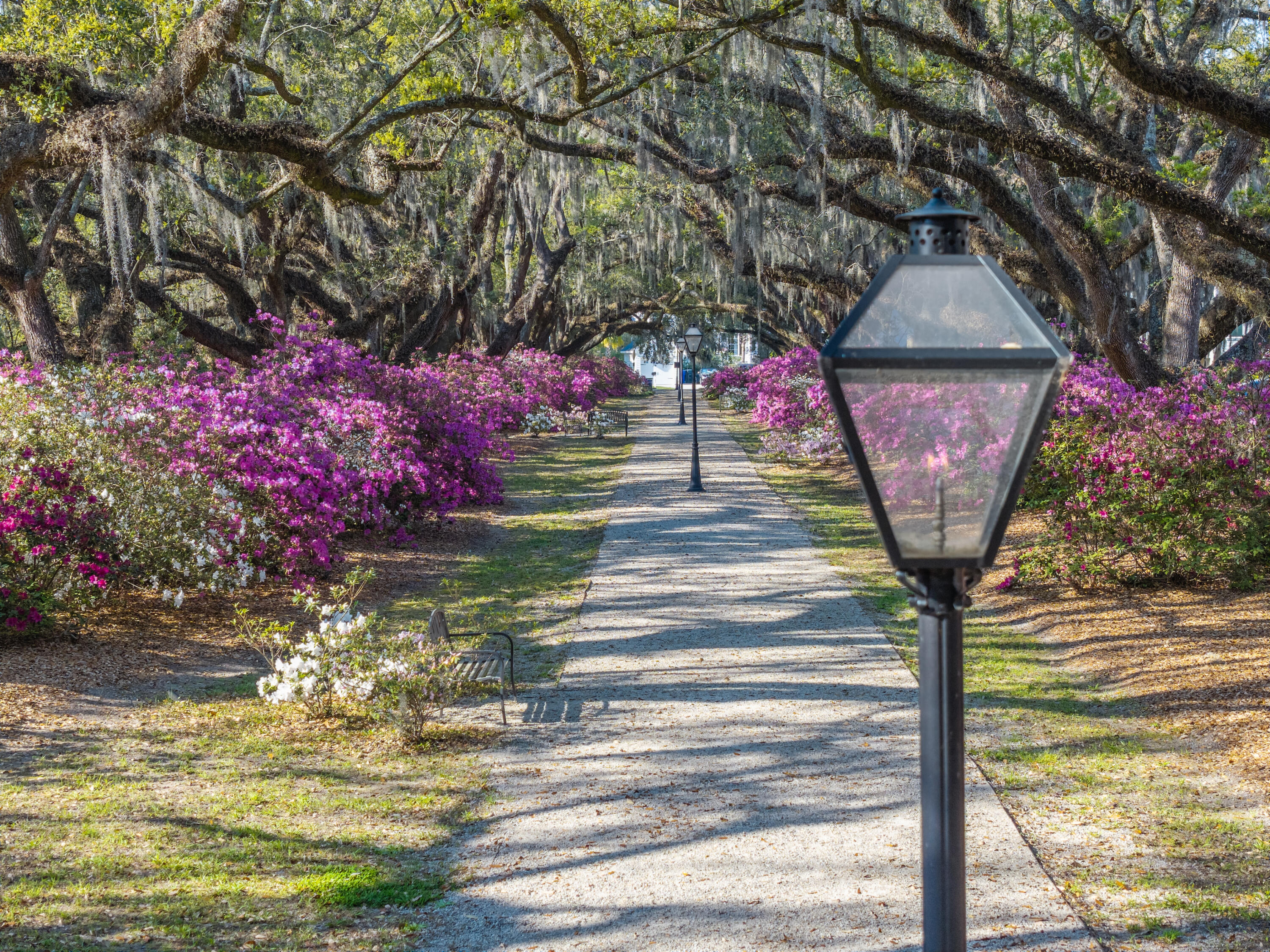 1034 Avenue Of Oaks Charleston SC 29407