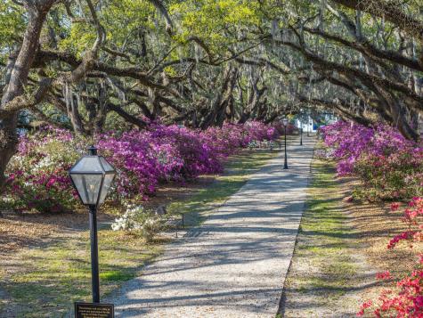 1034 Avenue Of Oaks Charleston SC 29407