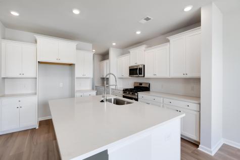 1028 Red Turnstone Run Summerville SC 29485