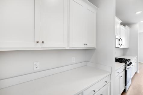 1028 Red Turnstone Run Summerville SC 29485