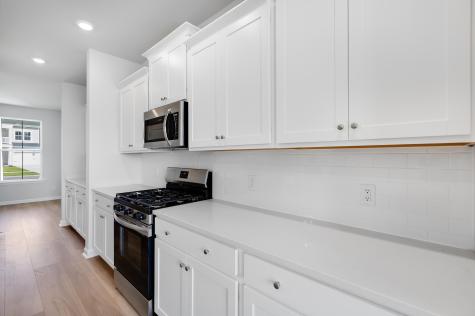 1028 Red Turnstone Run Summerville SC 29485