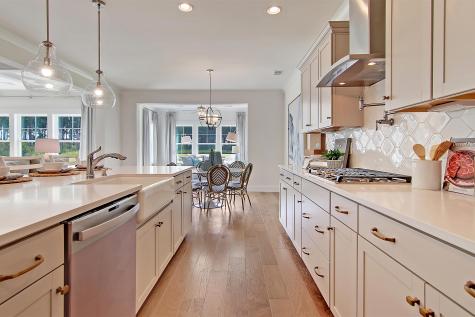 173 Fiddleback Drive Summerville SC 29486