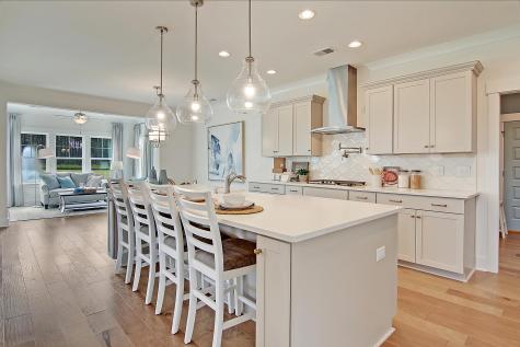 173 Fiddleback Drive Summerville SC 29486
