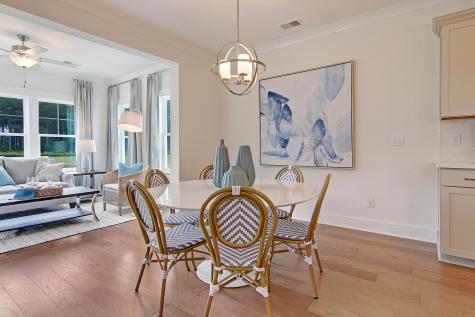 173 Fiddleback Drive Summerville SC 29486