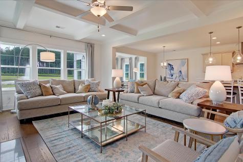 173 Fiddleback Drive Summerville SC 29486