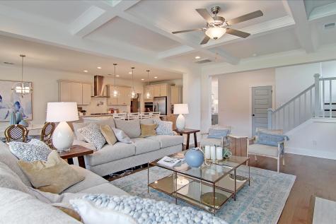 173 Fiddleback Drive Summerville SC 29486