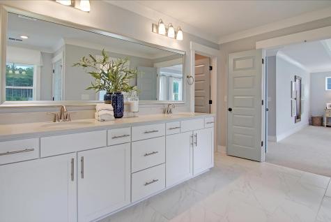 173 Fiddleback Drive Summerville SC 29486
