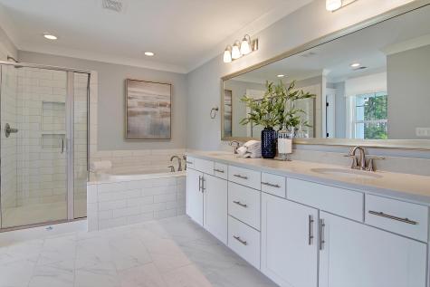173 Fiddleback Drive Summerville SC 29486