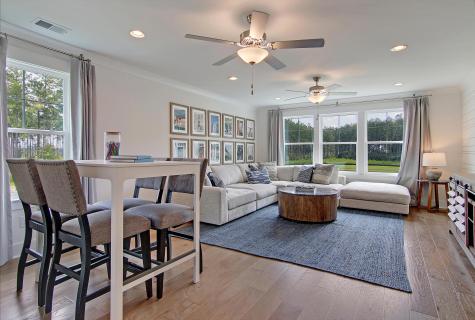 173 Fiddleback Drive Summerville SC 29486