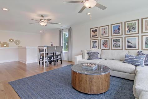 173 Fiddleback Drive Summerville SC 29486