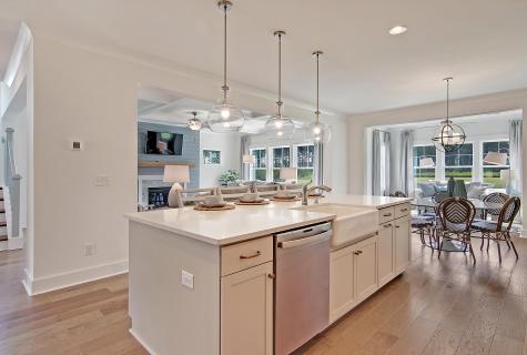 173 Fiddleback Drive Summerville SC 29486