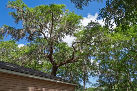 8362 Chisolm Plantation Road Edisto Island SC 29438
