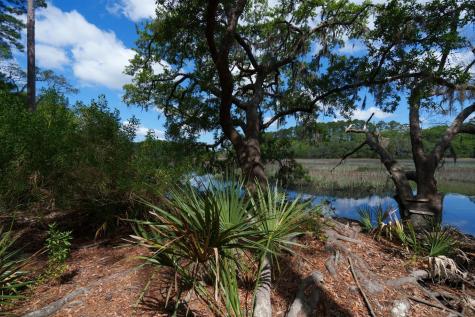 8362 Chisolm Plantation Road Edisto Island SC 29438