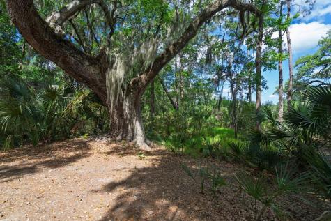 8362 Chisolm Plantation Road Edisto Island SC 29438