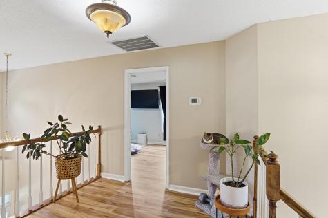1617 Dotterer's Run Charleston SC 29414