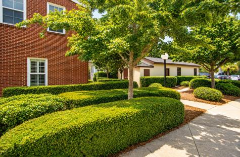 55 Ashley Avenue Charleston SC 29401