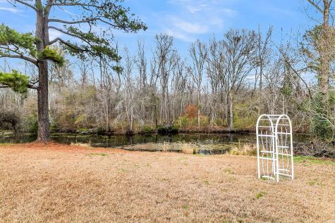 1677 Clearview Drive Manning SC 29102