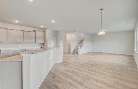 1044 Red Turnstone Run Summerville SC 29485