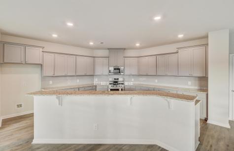 1044 Red Turnstone Run Summerville SC 29485