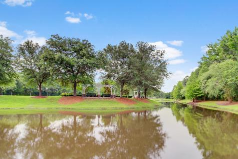 302 Hydrangea Street Summerville SC 29483