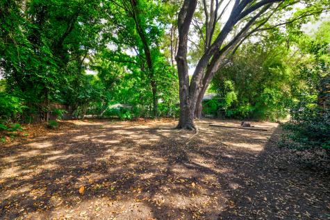 353 Wedgewood Street Charleston SC 29407