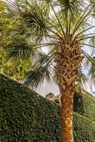 17 Tradd Street Charleston SC 29401