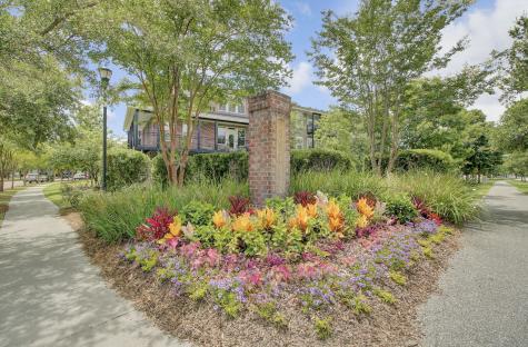 1647 Paradise Lake Drive Mount Pleasant SC 29464