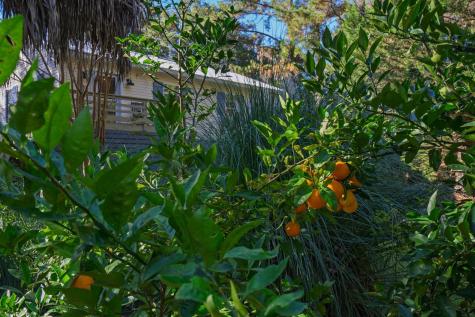 8525 Middleton Point Lane Edisto Island SC 29438
