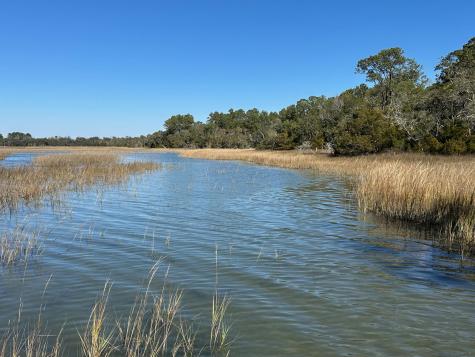 0 Allandale Plantation Road Wadmalaw Island SC 29487