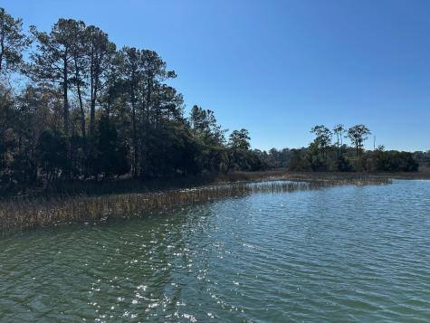 0 Allandale Plantation Road Wadmalaw Island SC 29487
