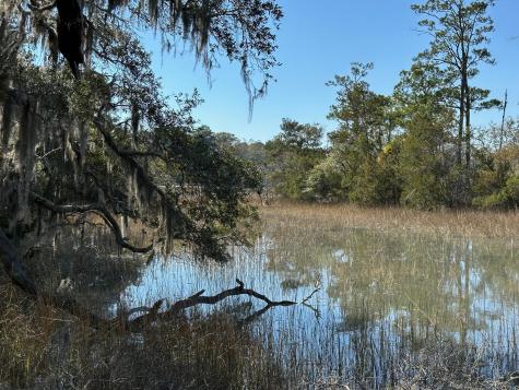 0 Allandale Plantation Road Wadmalaw Island SC 29487