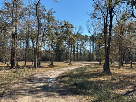 0 Allandale Plantation Road Wadmalaw Island SC 29487