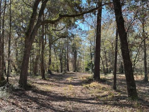 0 Allandale Plantation Road Wadmalaw Island SC 29487