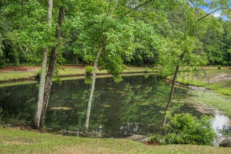 601 Salterton Street Summerville SC 29485