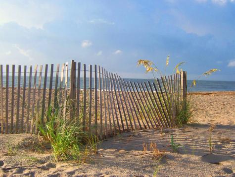 3701 Dock Site Road Edisto Beach SC 29438