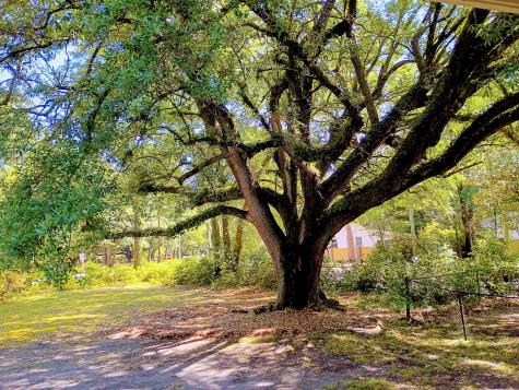 100 Old Country Club Road Summerville SC 29483