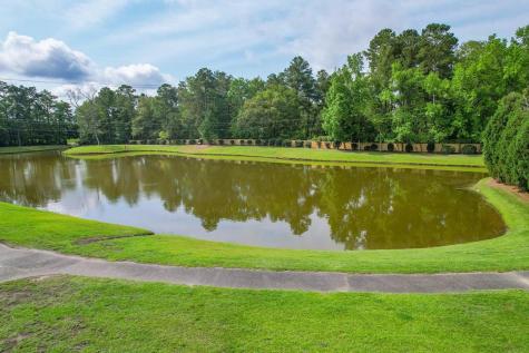 209 Barberry Street Summerville SC 29483
