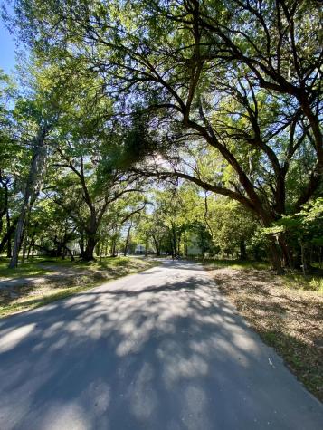3136 Vanessa Lynne Lane Johns Island SC 29455