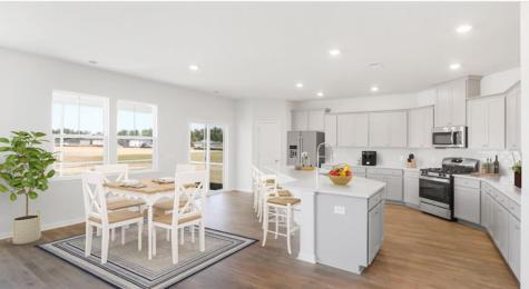 132 Orchard Blossom Lane Summerville SC 29485