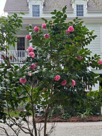 8460 Chisolm Plantation Road Edisto Island SC 29438