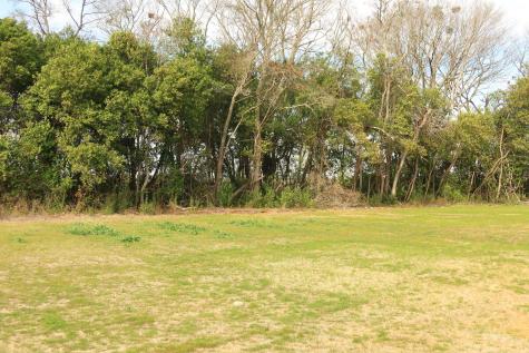 190 Avocada Drive Santee SC 29142