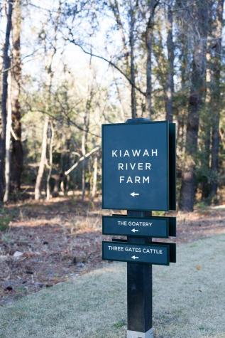 3025 Southerly Way Johns Island SC 29455