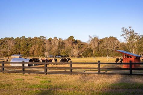 3025 Southerly Way Johns Island SC 29455