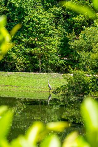 2134 Saint Johns Woods Parkway Johns Island SC 29455
