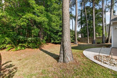 190 Sweet Alyssum Drive Ladson SC 29456