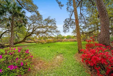 1527 S Pinebark Lane Charleston SC 29407