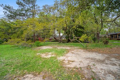 1527 S Pinebark Lane Charleston SC 29407